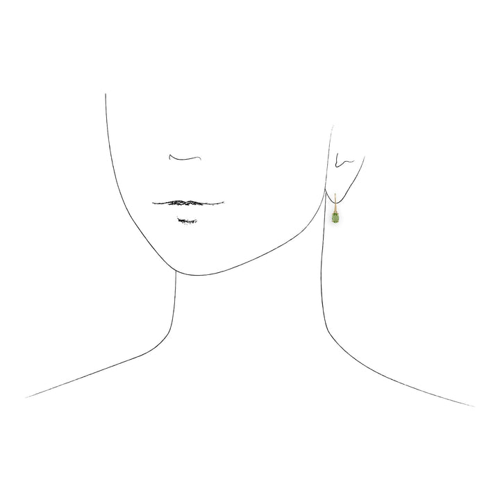 135E1289109 Classic Oval Peridot Hook Drop Earrings in 9ct Yellow Gold 2